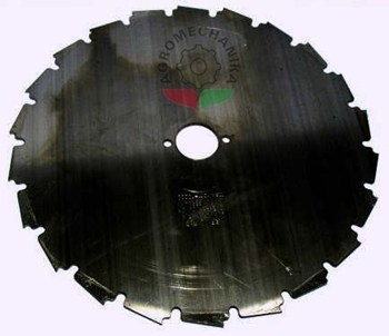 RS6 737